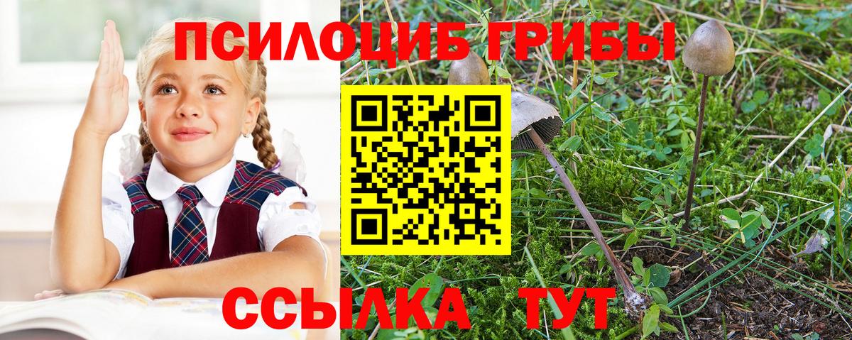 Галлюциногенные грибы прущие грибы  Вход с VPN  Глазов 